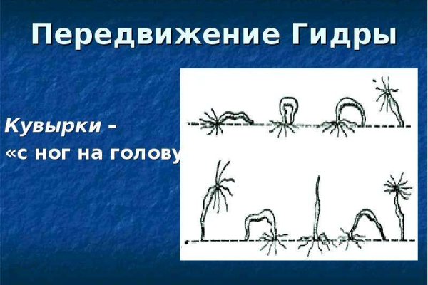Кракен сайт ссылка