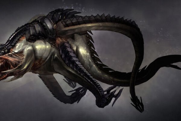 Kraken place