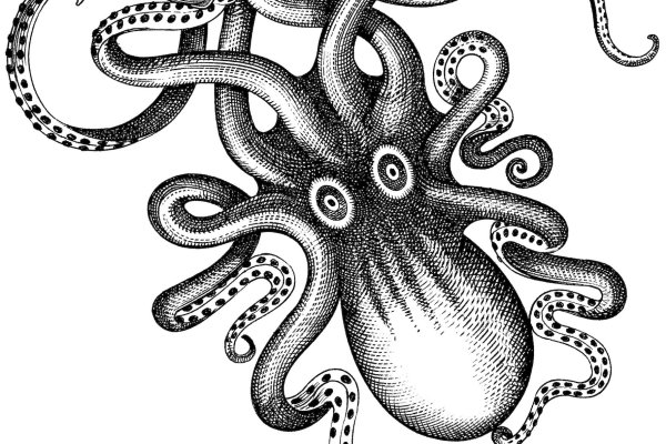 2kr pro kraken